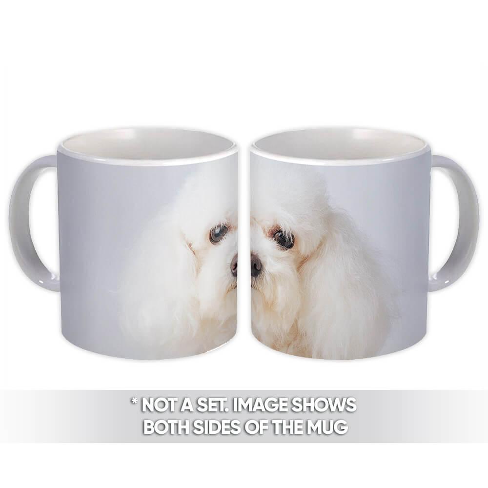 Gift Mug : Poodle Sad Face Home House Dog Puppy Pet Animal Cute