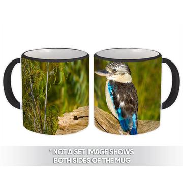 Kookaburra : Gift Mug Bird Australia Nature Ecology Birdwatching Animals