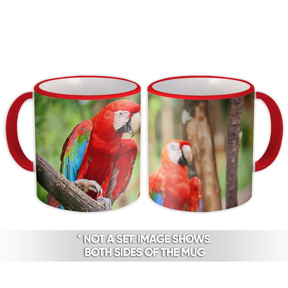 Gift Mug : Macaw Parrot Bird Animal Cute Ecology Nature Aviary