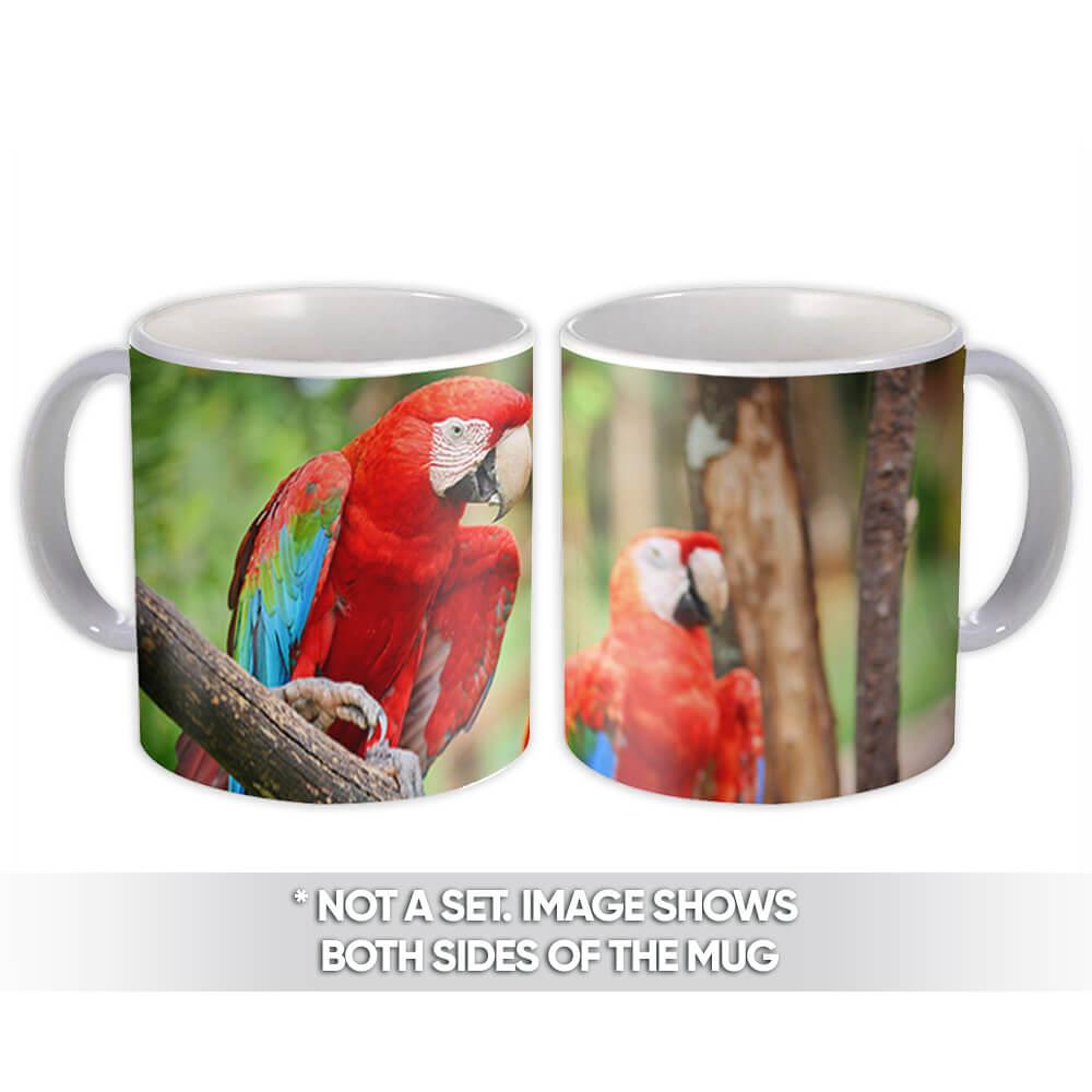 Gift Mug : Macaw Parrot Bird Animal Cute Ecology Nature Aviary