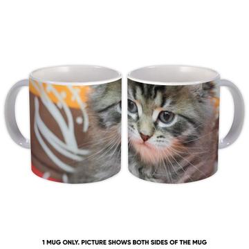 Cat : Gift Mug Animal Pet Kitten Feline Pets Lover Mom Dad
