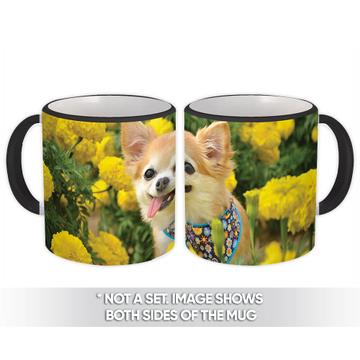 Chihuahua : Gift Mug Pet Animal Puppy Funny Dog Cute Canine Pets Dogs