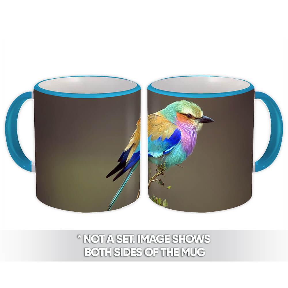 Gift Mug : Roller Bird Cute Colorful Nature Ecology Birdwatcher Coraciidae