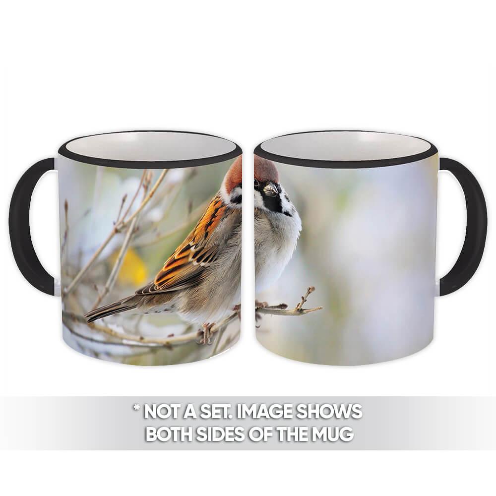 Gift Mug : Sparrow Bird Animal Nature Colorful Ecology Pet Birdwatcher