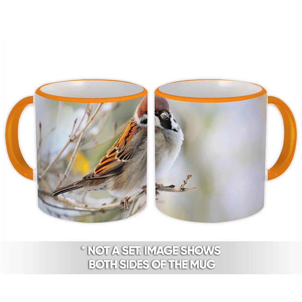 Gift Mug : Sparrow Bird Animal Nature Colorful Ecology Pet Birdwatcher