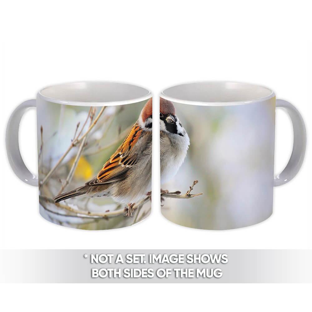 Gift Mug : Sparrow Bird Animal Nature Colorful Ecology Pet Birdwatcher