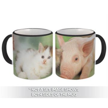 Cat and Pig : Gift Mug Cute Funny Friends Animals Feline Pets Lover Cat Mom Dad