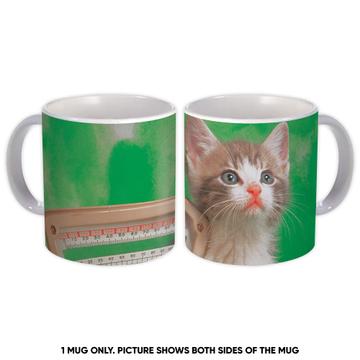 Cat : Gift Mug Feline Pets Lover Mom Dad Animal Cats Kitten
