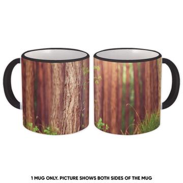 Sunset Forest Trees : Gift Mug Grass Flower Nature Wood Wall Photo Home Decor Trunks