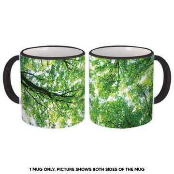 Tree Crowns Photograph Poster : Gift Mug Nature Home Wall Decor Wood Forest Summer