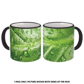 Water Drops Green Leaf : Gift Mug Photograph Wall Poster Home Decor Nature Plant
