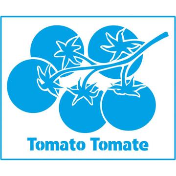 Tomato Branch 6 3/4 x 8 1/4 in : Laser Cut Stencil Diy Reusable 17x21cm