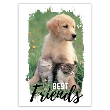 Golden Retriever Cats : Gift Sticker Best Friends Dog Cute Pet Animal Puppy