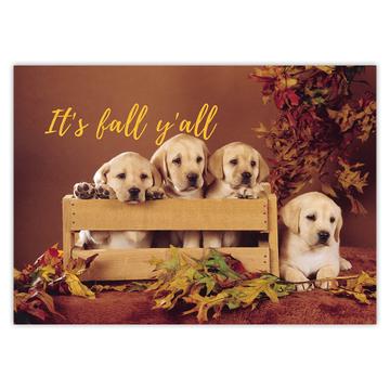 Labrador Wooden Crate Its Fall Yall : Gift Sticker Dog Puppy Pet Autumn Cute