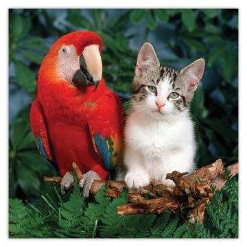 Macaw And Cat Best Friends : Gift Sticker Parrot Bird Animal Cute