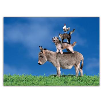 Dog Donkey Rooster Cat : Gift Sticker Pet Puppy Funny Animal Cute