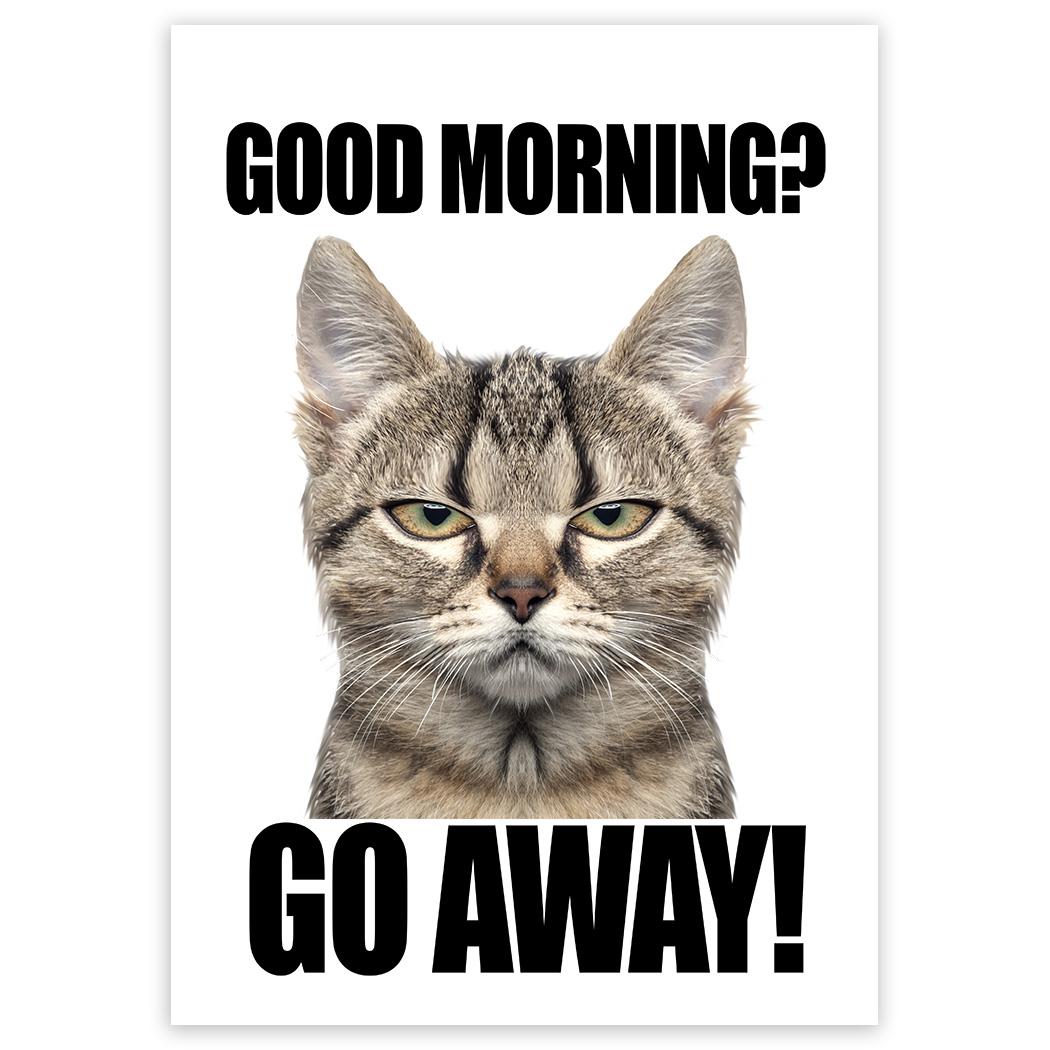 Gift Sticker : Good Morning Go Away Cat Office Funny Humor Kitten Joke  Coworker | eBay