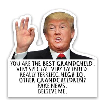GRANDCHILD Funny Trump : Gift Sticker Best Birthday Christmas Humor MAGA Family