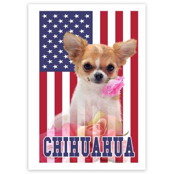 Chihuahua USA : Gift Sticker Flag American Dog Lover Pet United States Cute