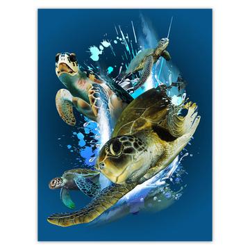 Cute Turtle Photography : Gift Sticker Turtles Water Animals Nature Protection Ocean