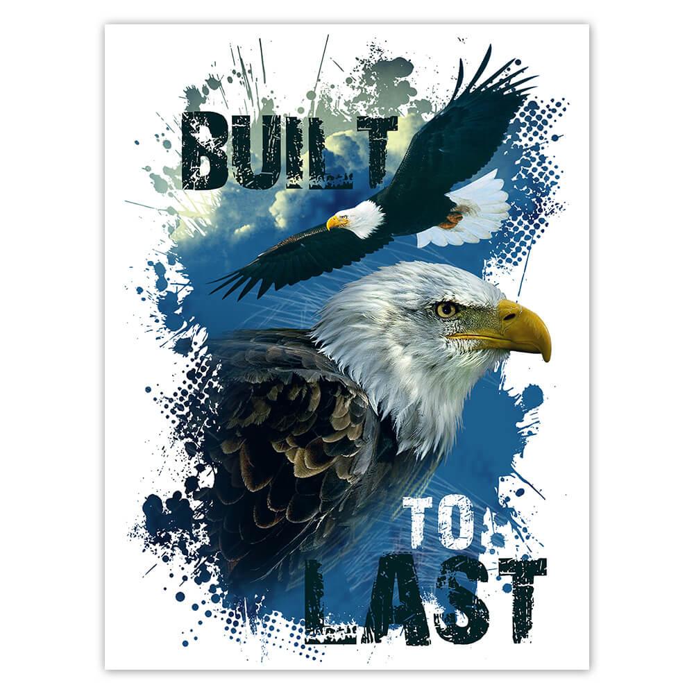 Gift Sticker : Eagle Nature Wild Animals Wildlife Fauna Safari Species