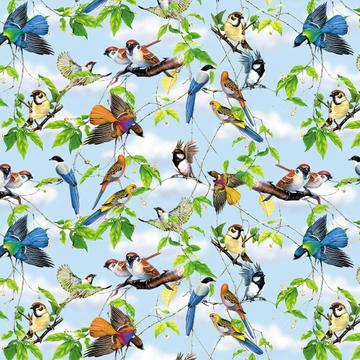 Summer Birds Pattern : Gift 12" X 12" Decal Vinyl Sticker Sheet Bird Lover Animal Nature Finch Finches Kid Children Types