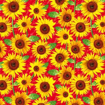Golden Yellow Sunflowers : Gift 12" X 12" Decal Vinyl Sticker Sheet Pattern Fabric Pattern Autumn Diy Scrapbook Crafter Kitchen