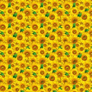 Sunflowers : Gift 12" X 12" Decal Vinyl Sticker Sheet Pattern Seamless Pattern Summer Floral Botanical Fabric Gerbera Wall Decor