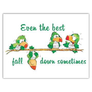 Parrot Comic Falling Down : Gift Sticker Bird Nature Funny Animal Cute