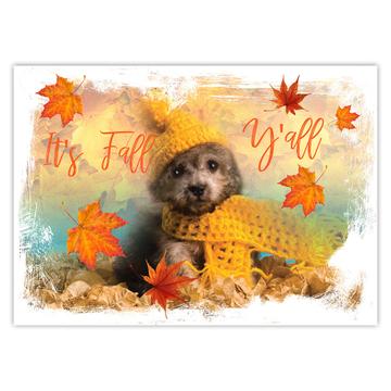 Poodle Its Fall You All : Gift Sticker Dog Puppy Pet Autumn Animal Cute