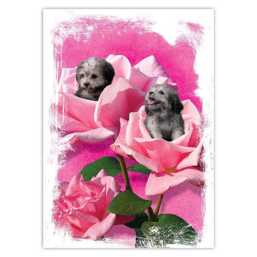 Gift Sticker : Poodle Roses Flowers Dog Puppy Pet Modern Composition Animal Cute