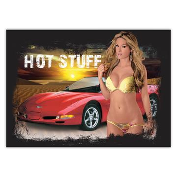 Sexy Woman Bikini Car : Gift Sticker Erotica Erotic Pin Up Girl Hot Blonde