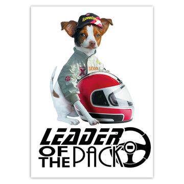 Jack Russell Terrier Racer Helmet : Gift Sticker Dog Pet Leader of the Pack Animal Cute