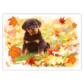 Rottweiler Fall : Gift Sticker Dog Pet Puppy Animal Cute Leaves Autumn