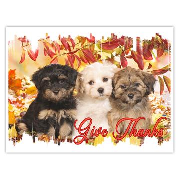 Lhasa Fall Give Thanks : Gift Sticker Dog Puppy Pet Leaves Autumn Animal Cute