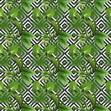 Botanical Exotic Plants Pattern : Gift 12" X 12" Decal Vinyl Sticker Sheet Monstera Leaves Rhapis Palm Tropical Green Lover