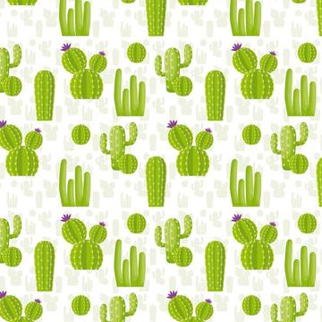 Cactus : Gift 12" X 12" Decal Vinyl Sticker Sheet Pattern Pattern Desert Cute Trend Succulents