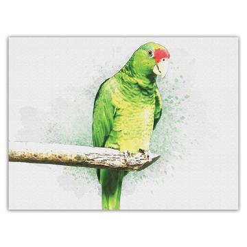 Parrot Watercolor : Gift Sticker Bird Nature Artistic Art Animal Cute