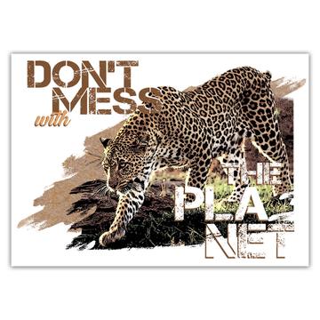 Cheetah Nature Eco Ecology : Gift Sticker Wild Animals Wildlife Fauna Safari Species Ecological