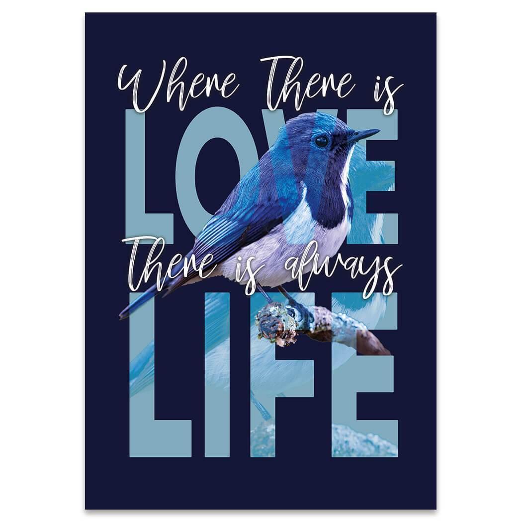 Blue Bird : Gift {Type} Where There is Love Life Nature