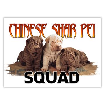 Chinese Shar Pei Squad : Gift Sticker Dpg Funny Animal Canine Pets Dogs