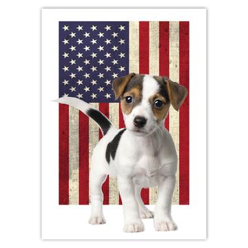 Jack Russell Terrier USA Flag : Gift Sticker Dog American United States