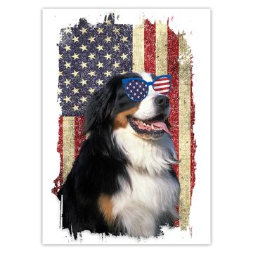 Bernese American Flag : Gift Sticker Dog Pet Puppy Animal Cute USA 4th of July Patriot