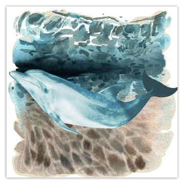 Dolphin Watercolor Art Print : Gift Sticker Ocean Water Animal Nature Lover Stones Light