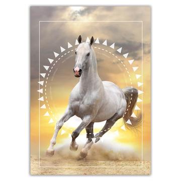Running Horse Wild : Gift Sticker Animal Lover Sunset Photo Art Print Cover Wall Poster Decor