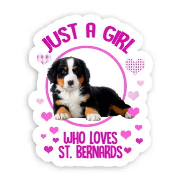For Saint Bernard Dog Lover Owner : Gift Sticker Dogs Animal Pet Photo Art Birthday Girl