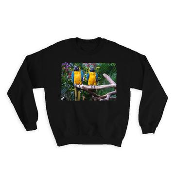 Macaw : Gift Sweatshirt Parrot Bird Animal Cute Ecology Nature Aviary