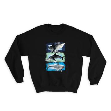 Three White Shark : Gift Sweatshirt Boys Kids
