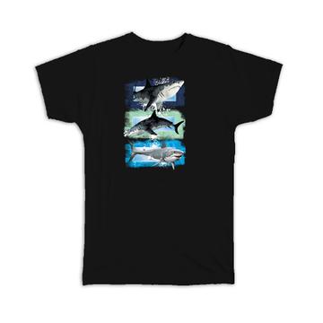 Three White Shark : Gift T-Shirt Boys Kids